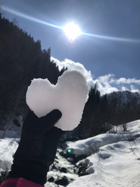 Bons plans & Promo Ski