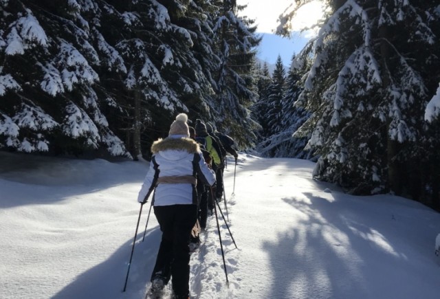 Snowshoe Walks