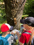 Parcours Ludique d'orientation_Saint-Alban-des-Villards
