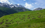 Lac de l'Ane (2417m)_Saint-Colomban-des-Villards