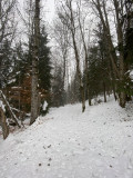 Sentier Raquettes Bon Mollard