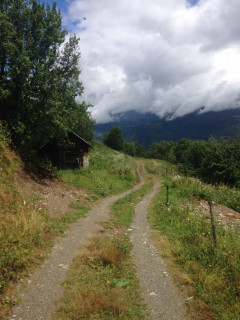 Le monthion