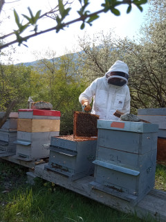 Guillaume Martin-Cocher