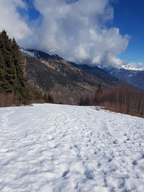 20240219_110721.jpg 20240219_110721.jpg