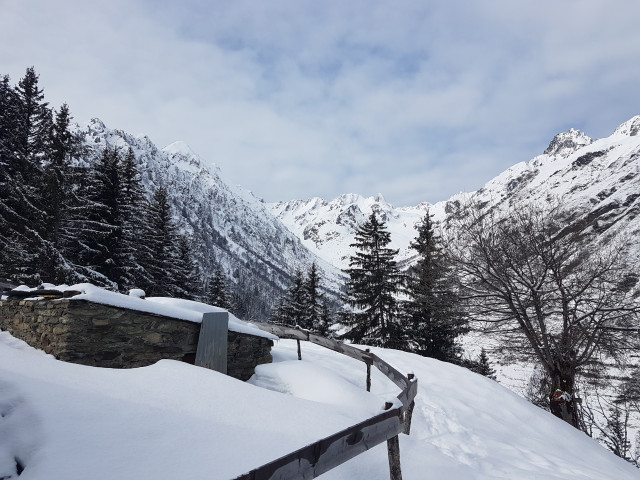 20240212_114449.jpg 20240212_114449.jpg