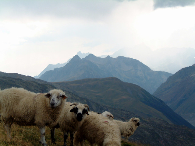 randonnée pédestres
