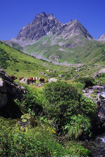 Hiking : La Combe des Roches - Circuit de l'Orselle (1719m)_Saint-Colomban-des-Villards