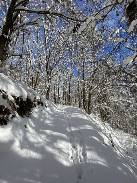 Chemin Raquette
