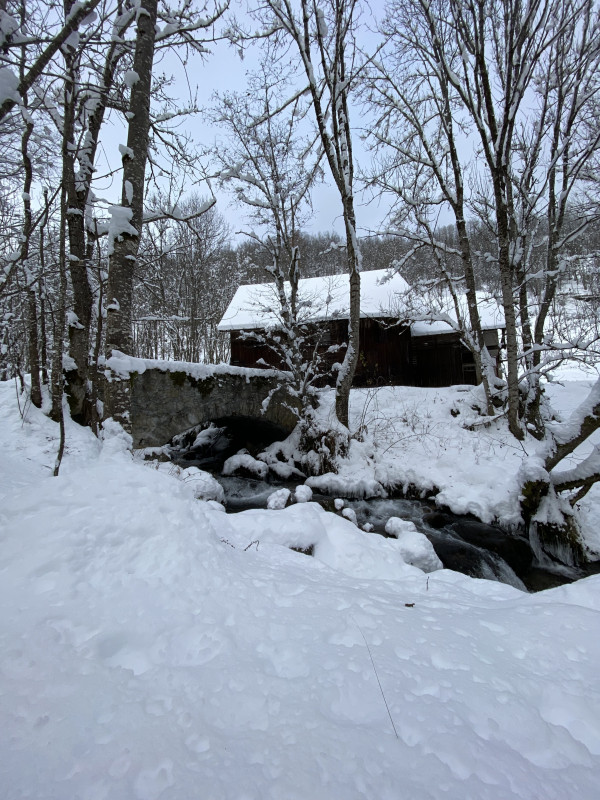 Sentier Raquettes Le Moulin