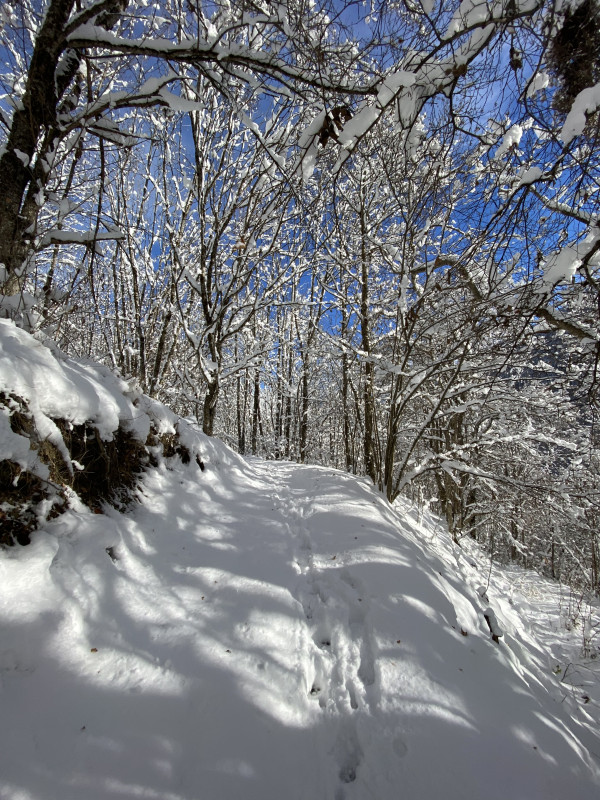 Chemin Raquette