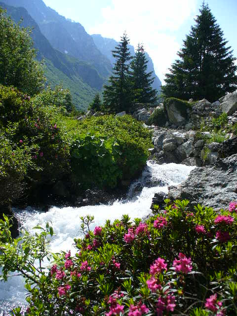 p1020229.jpg
