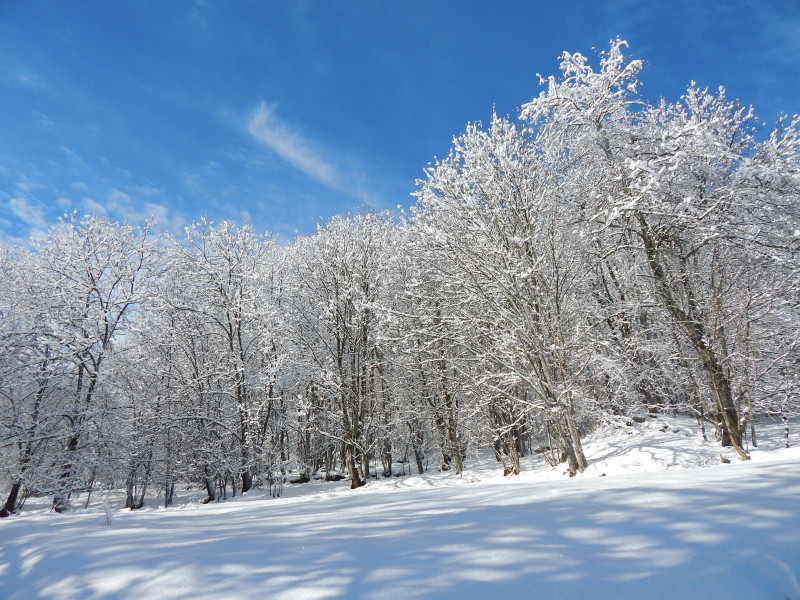 Snowshoe route: Le Martinan_Saint-Colomban-des-Villards - © OT Espace Glandon Snowshoe route: Le Martinan_Saint-Colomban-des-Villards
