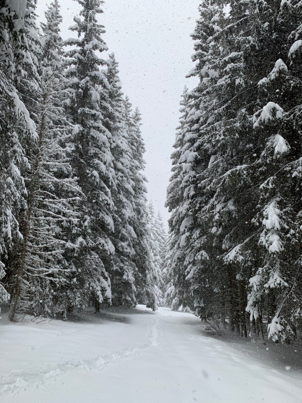 Sentier Raquettes Boucle de Bellecombe - © OT Espace Glandon Sentier Raquettes Boucle de Bellecombe