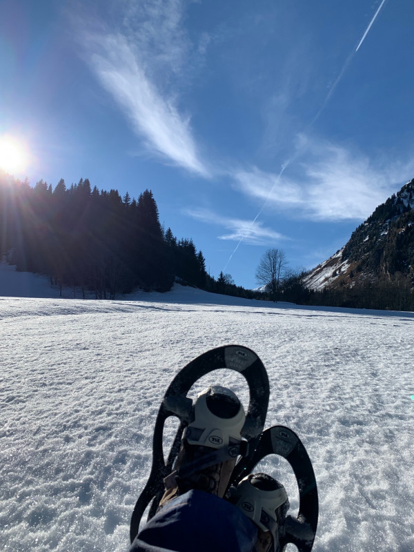 Sentier Raquettes Boucle de Bellecombe - © OT Espace Glandon Sentier Raquettes Boucle de Bellecombe