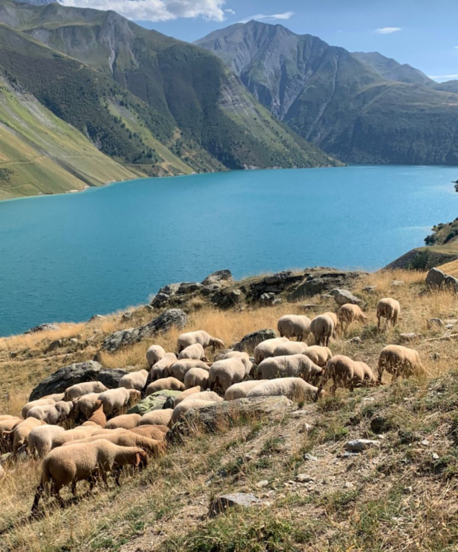 Shepherd's hut -Buyant_Saint-Colomban-des-Villards