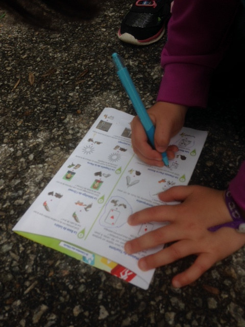 enfant écrivant sur le document de Randoland enfant écrivant sur le document de Randoland