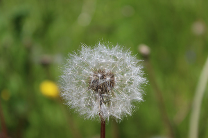 La Perrière - © OT Espace Glandon La Perrière