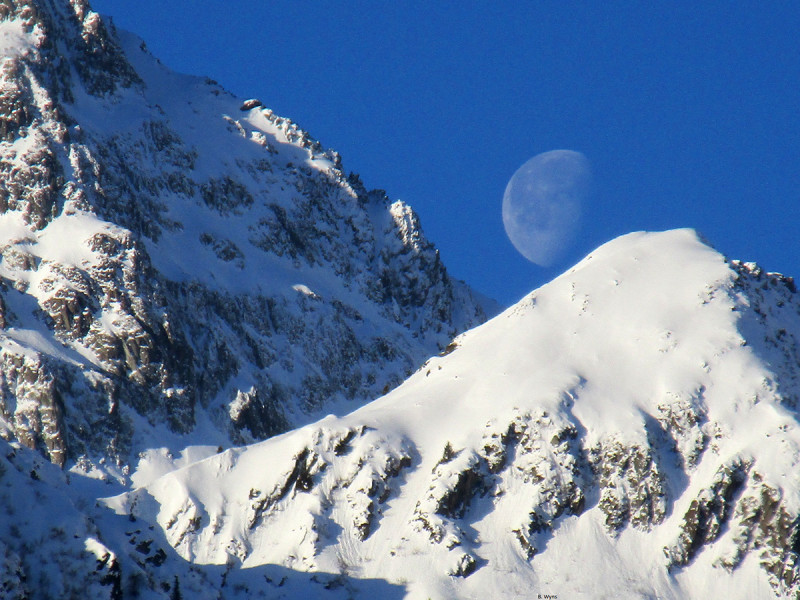 sambuis et lune