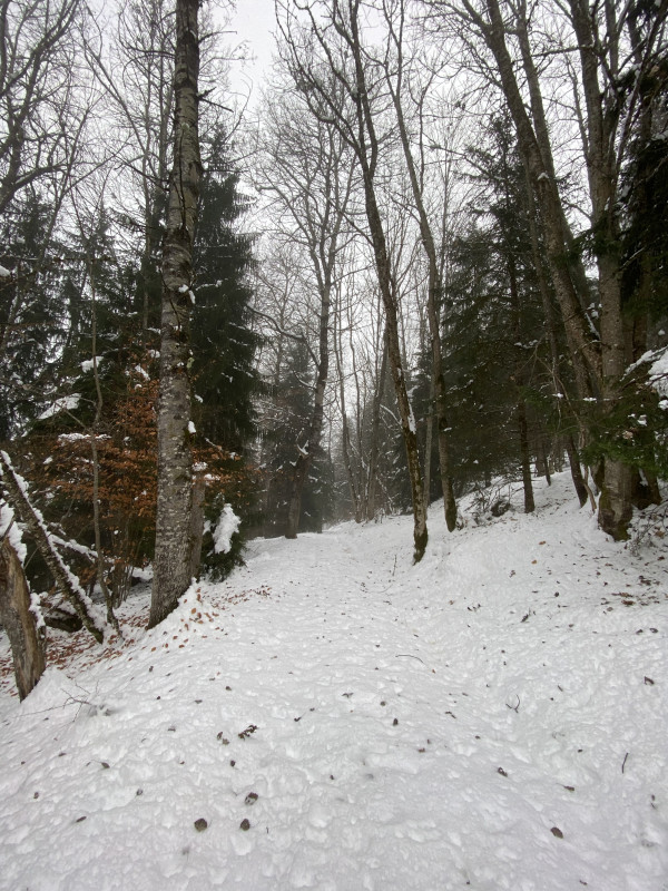 Sentier Raquettes Bon Mollard - © OT Espace Glandon Sentier Raquettes Bon Mollard