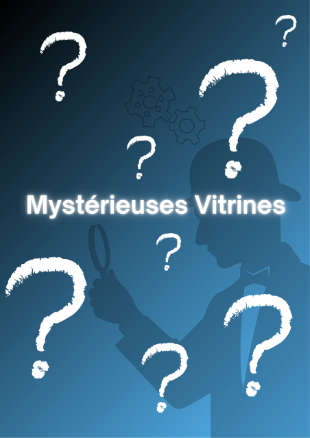 Mystérieuses Vitrines_Saint-Colomban-des-Villards