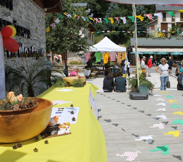 img-1662-393 img-1662-393