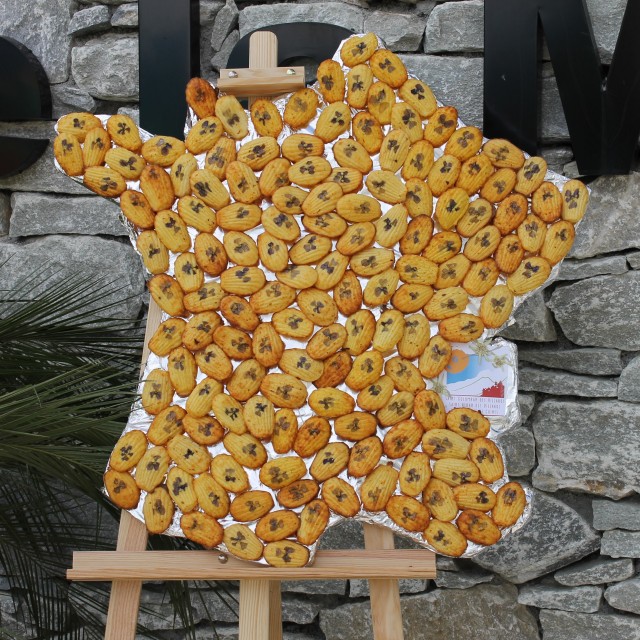 img-1670-394 img-1670-394