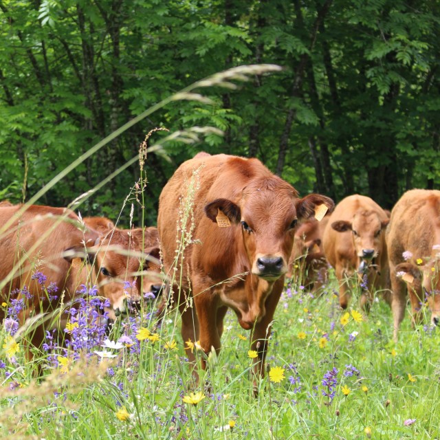 img-1775-370 img-1775-370