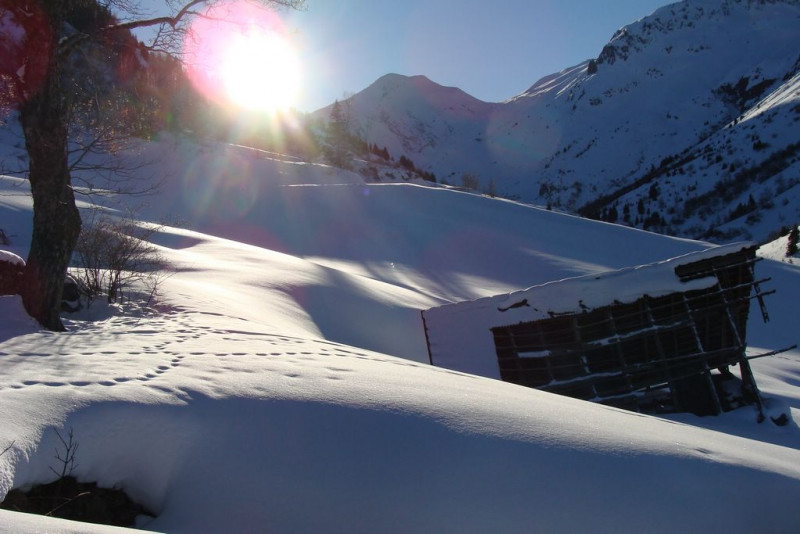 Chalet La Grange - station de ski St Colomban des Villards - Savoie