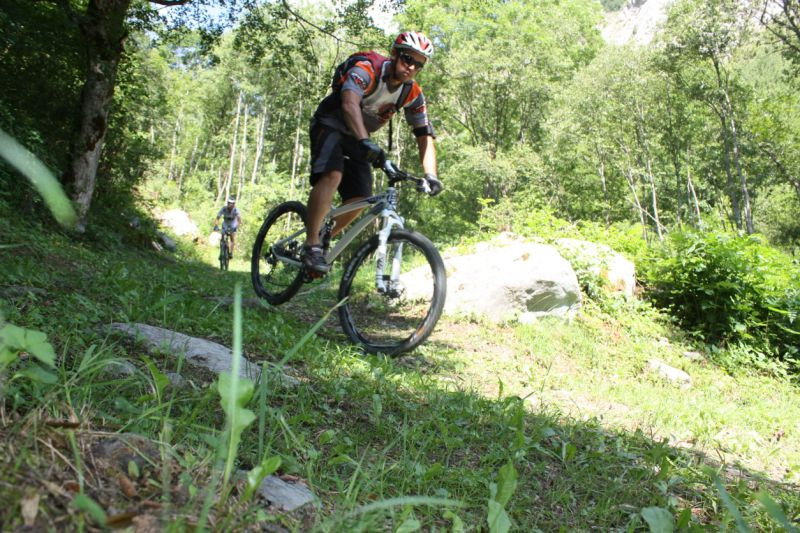 VTT