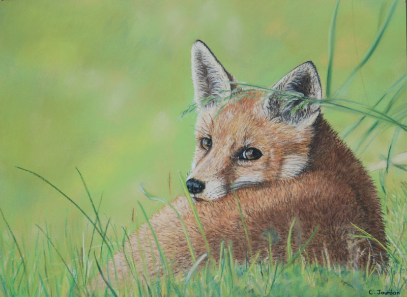 Exposition de pastels de Carole Jourdan_Saint-Colomban-des-Villards