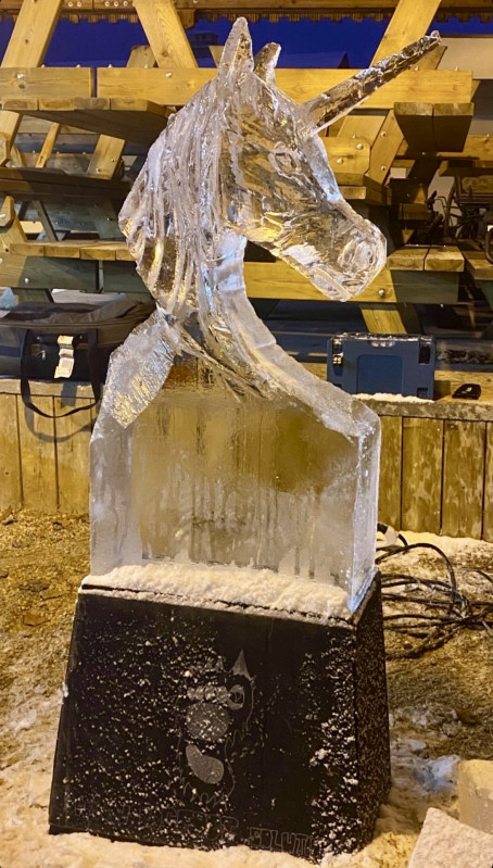 Ice sculpture show_Saint-Colomban-des-Villards Ice sculpture show_Saint-Colomban-des-Villards